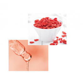 Сублімуюча сироватка для фарбованого волосся Color Goje-hyaluronic DiksoPrime